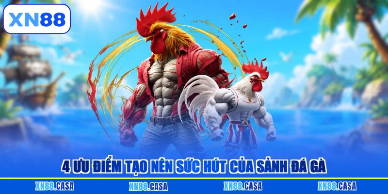 4 ưu điểm tạo nên sức hút của sảnh đá gà