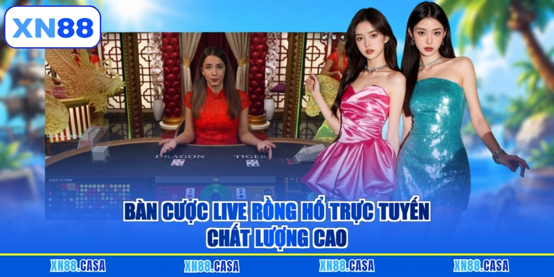 Bàn cược Live Rồng Hổ trực tuyến chất lượng cao