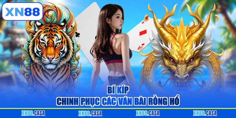Bí kíp chinh phục các ván bài Rồng Hổ