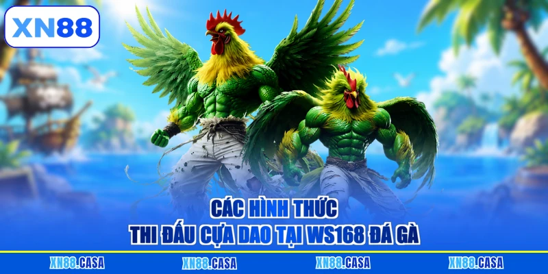 Các hình thức thi đấu cựa dao tại WS168 Đá gà XN88