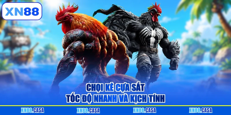 Chọi kê cựa sắt tốc độ nhanh và kịch tính