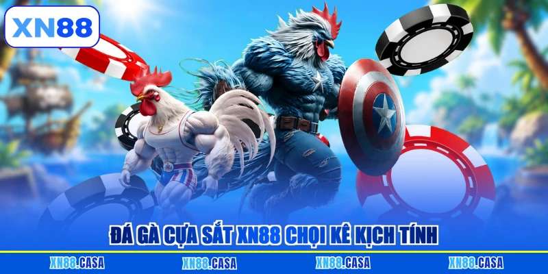 Đá gà cựa sắt XN88 chọi kê kịch tính