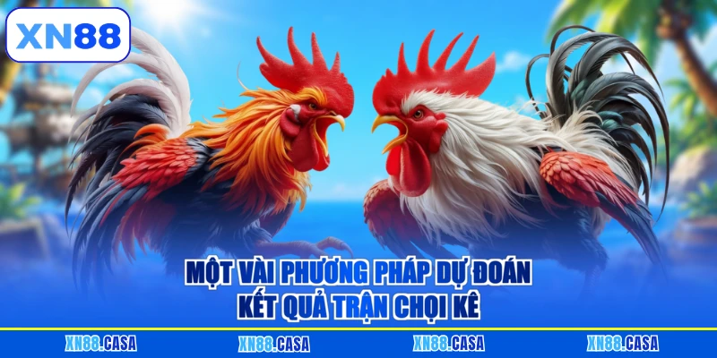 Một vài phương pháp dự đoán kết quả trận chọi kê