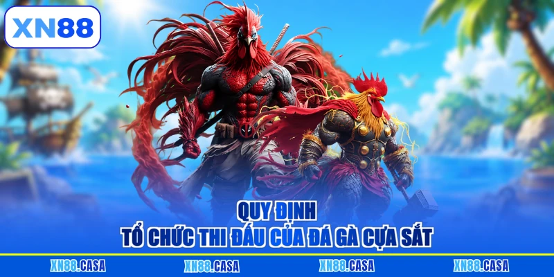 Quy định tổ chức thi đấu của đá gà cựa sắt