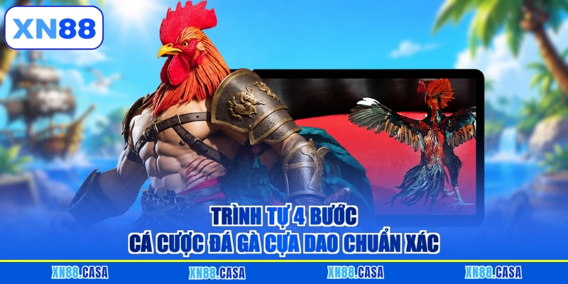 Trình tự 4 bước cá cược đá gà cựa dao XN88 chuẩn xác