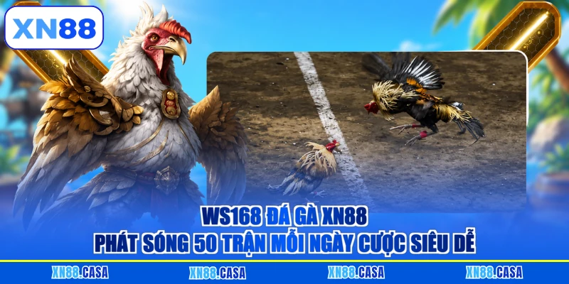 WS168 Đá Gà XN88 - Đấu Trường Thomo Rinh Thưởng Tiền Tỷ